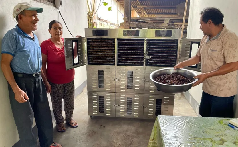 Secado cuidadoso de la cáscara en la producción